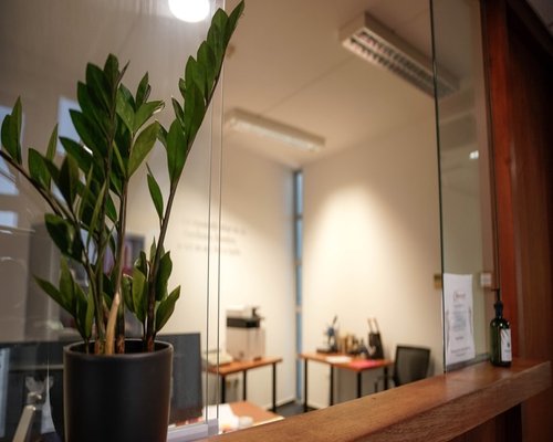 Modern light filled office space with plants